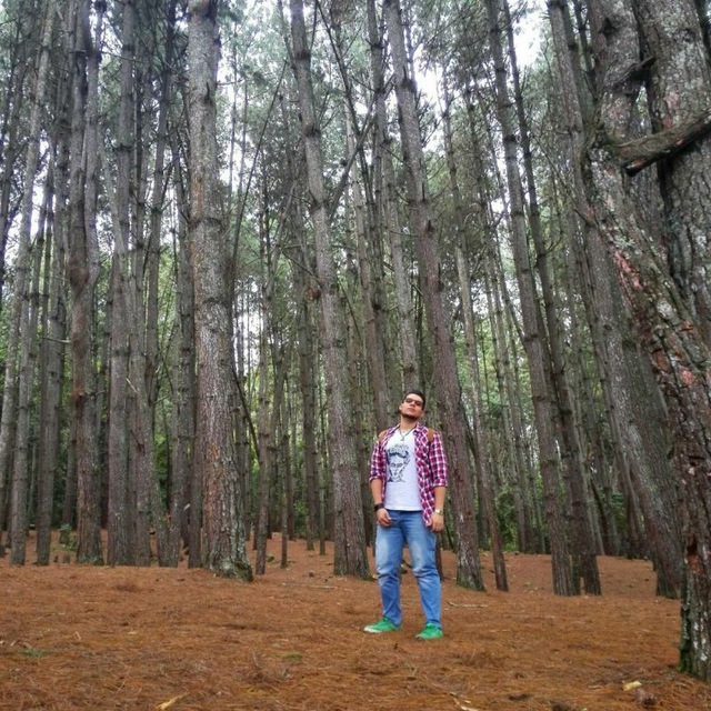 Next Image >>