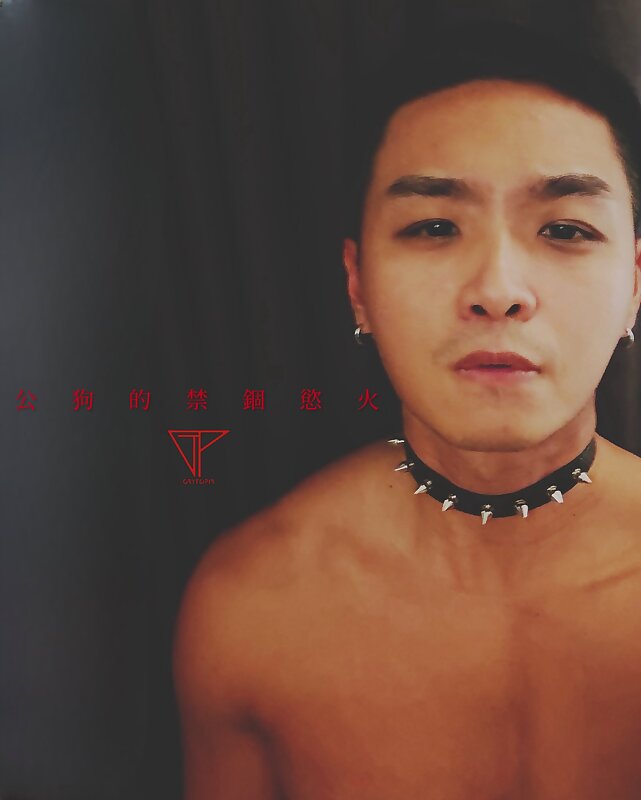 Next Image >>
