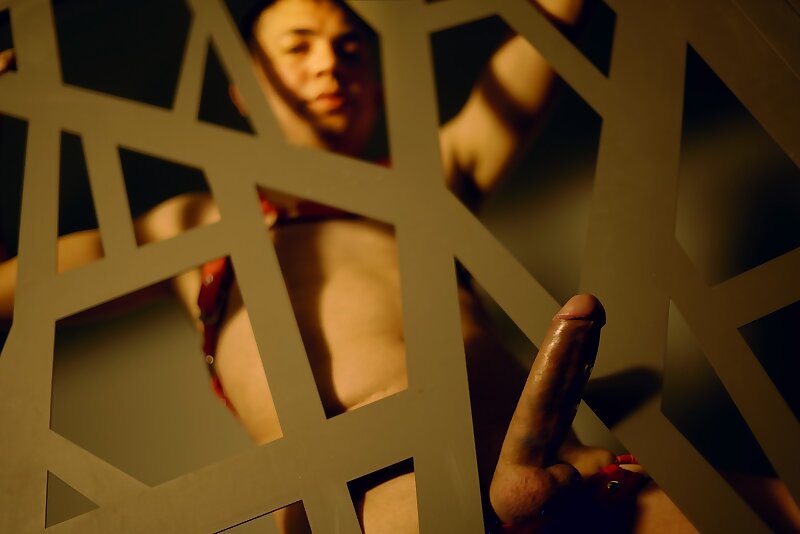 Next Image >>