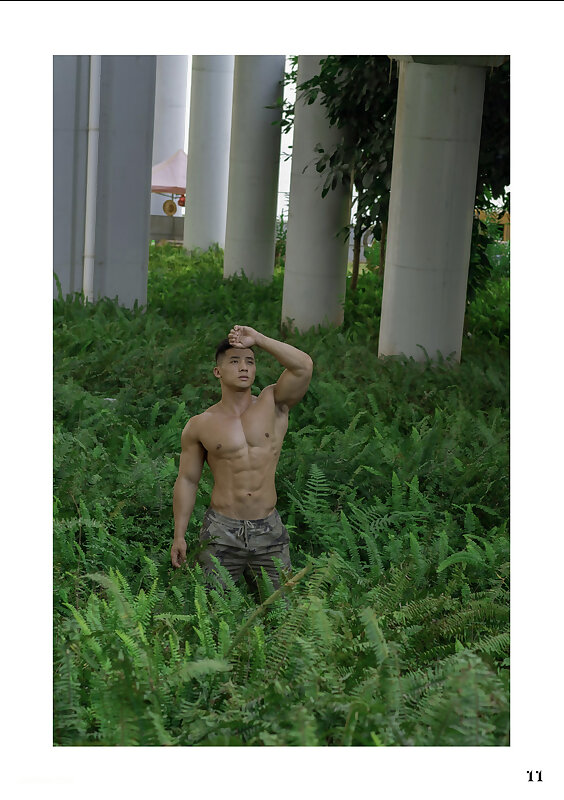 Next Image >>