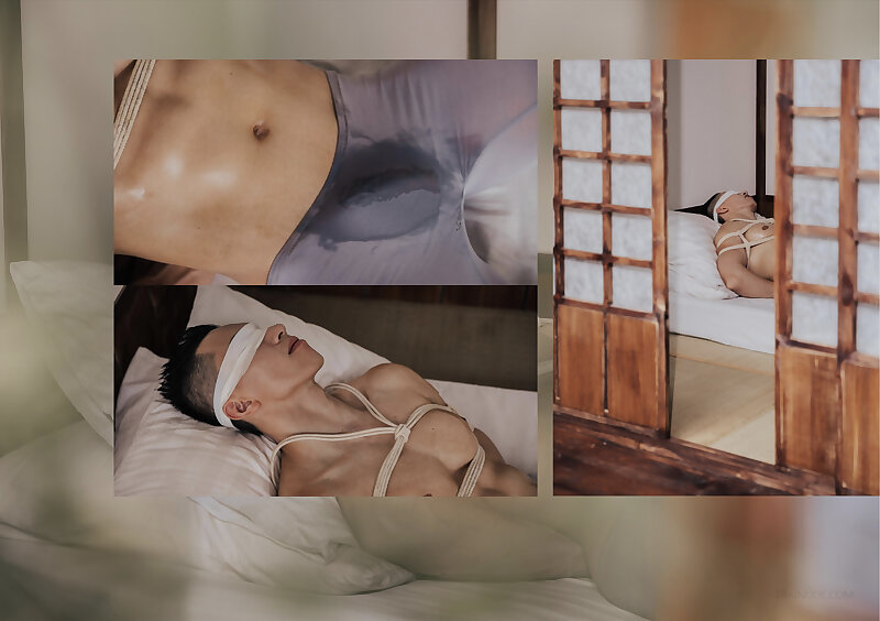 Next Image >>