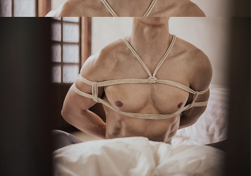 Next Image >>