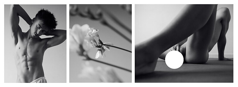 Next Image >>