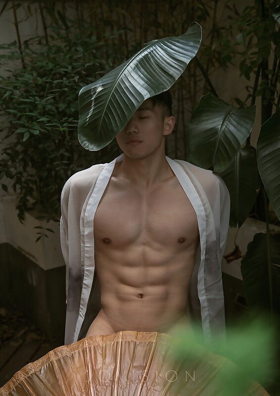 Next Image >>