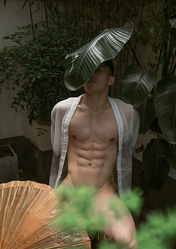 Next Image >>