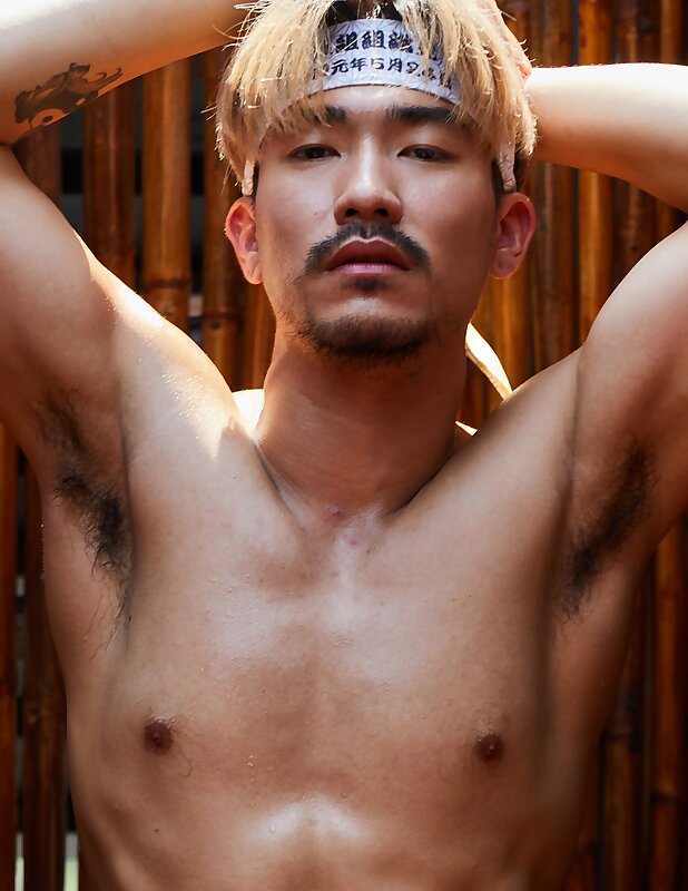 Next Image >>