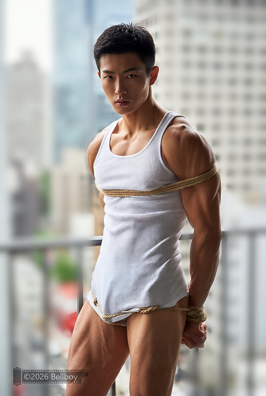 Next Image >>