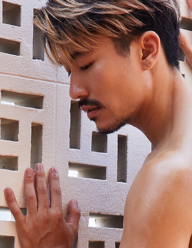 Next Image >>