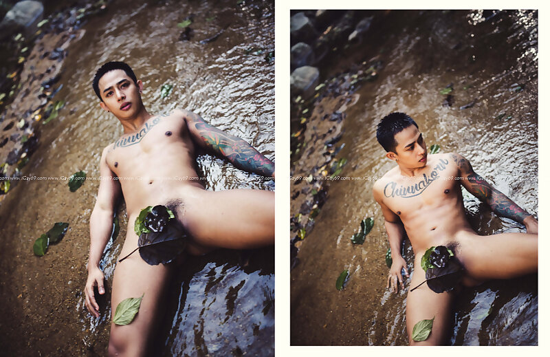 Next Image >>