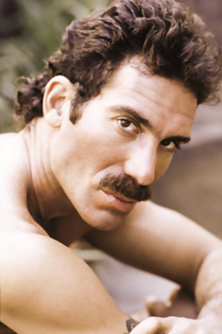 vintage gay porn stars with mustaches