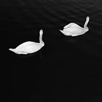 dean12365
