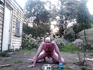 Doggy Bitch Slave Eating Real Dog Food