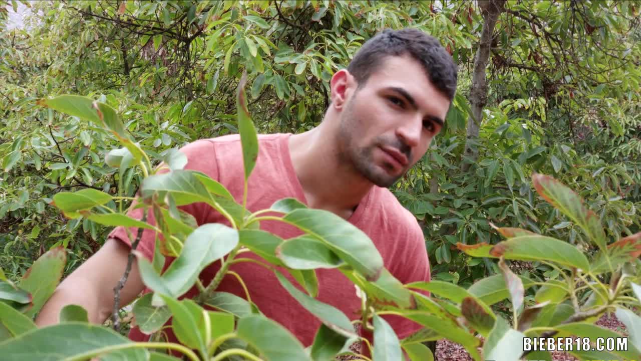 Gay sex among the avocado trees - BoyFriendTV.com