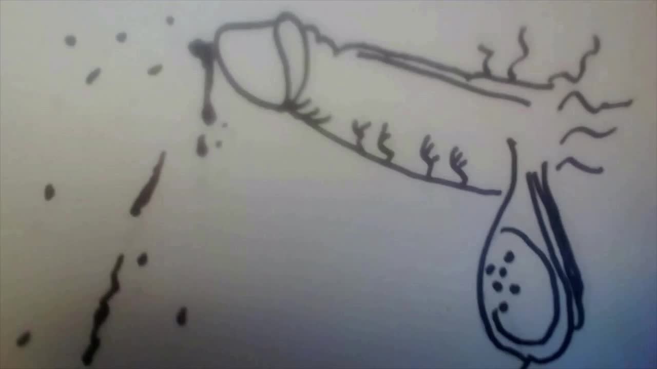 1280px x 720px - Cartoon drawing of stickman blowjob & cocks - BoyFriendTV.com