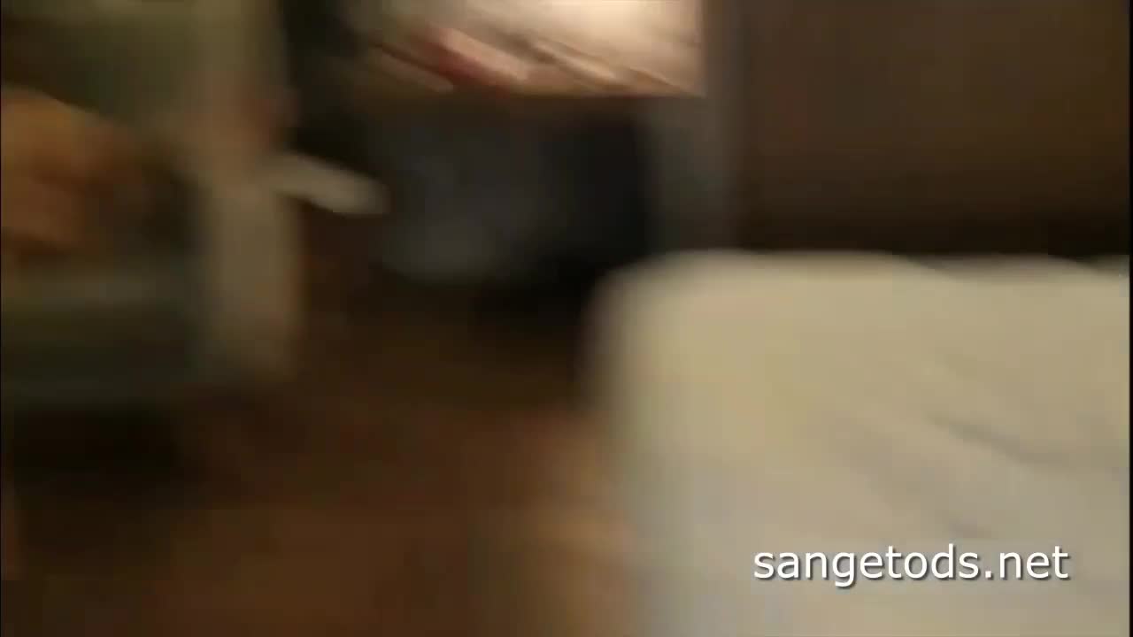Sangetods.net